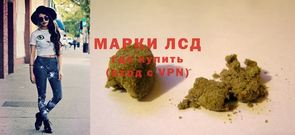 PSILOCYBIN Волосово