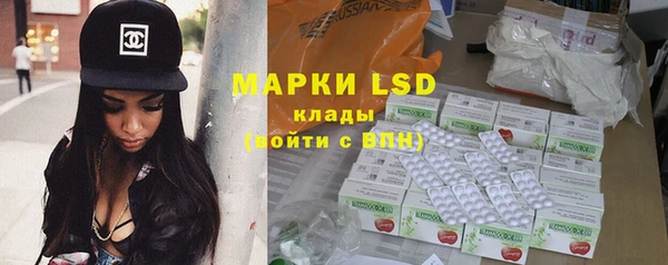 PSILOCYBIN Волосово